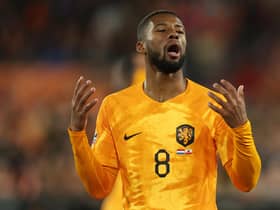 Georginio Wijnaldum joined Newcastle United in 2015 for £14million but left after the club were relegated to the Championship.  
