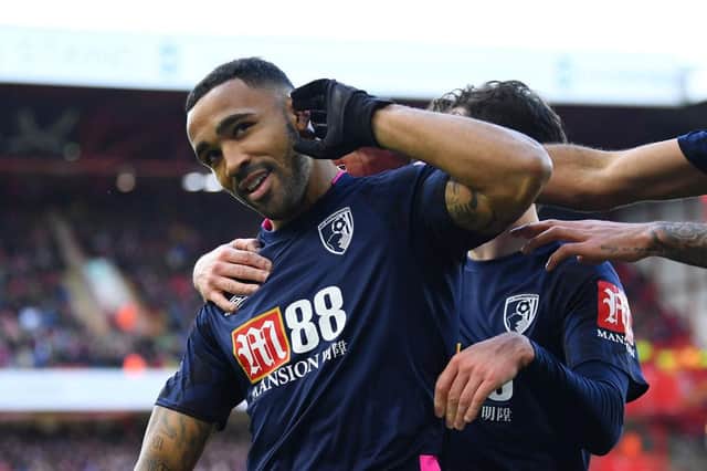SHEFFIELD, ENGLAND - FEBRUARY 09: Callum Wilson of AFC Bournemouth celebrates after scoring his team's first goal during the Premier League match between Sheffield United and AFC Bournemouth at Bramall Lane on February 09, 2020 in Sheffield, United Kingdom. (Photo by Clive Mason/Getty Images)