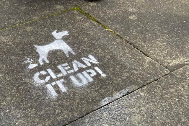 The chalk messages reminding residents to 'clean it up'