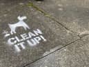 The chalk messages reminding residents to 'clean it up'