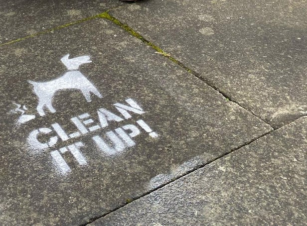 The chalk messages reminding residents to 'clean it up'