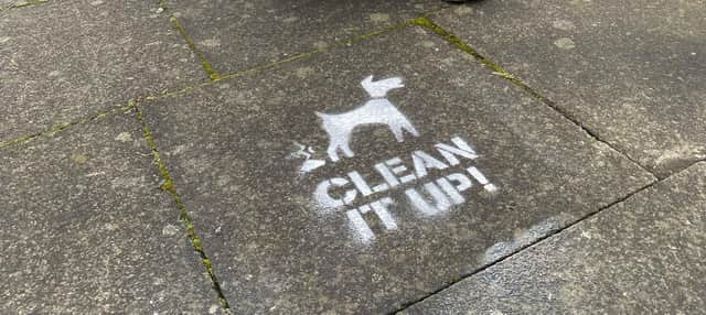 The chalk messages reminding residents to 'clean it up'