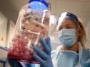 Coronavirus rates have fallen during lockdown