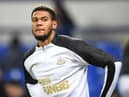 LIVERPOOL, ENGLAND - JANUARY 21: Joelinton of Newcastle United warms up prior to the Premier League match between Everton FC and Newcastle United at Goodison Park on January 21, 2020 in Liverpool, United Kingdom. (Photo by Gareth Copley/Getty Images)