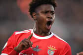 Luis Semedo 