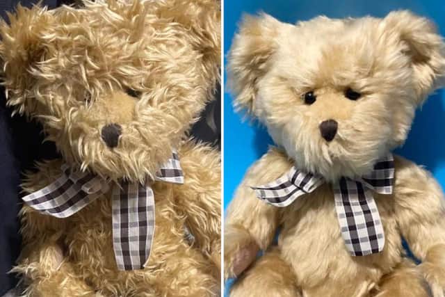 Before and after photo of a restored teddy bear