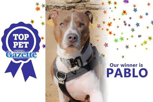 Pablo is the winner of our Top Pet competition!