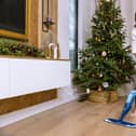 Are you ready for the Great Christmas Clean Up?