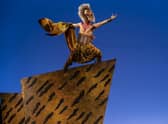 The Lion King is heading back to Sunderland. Photo by Johan Persson