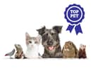 Is your pet a star? It's time to enter them into our Top Pet competition.