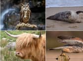 Readers have been sharing their favourite pictures for World Wildlife Day.