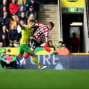 Sunderland forward Joe Gelhardt