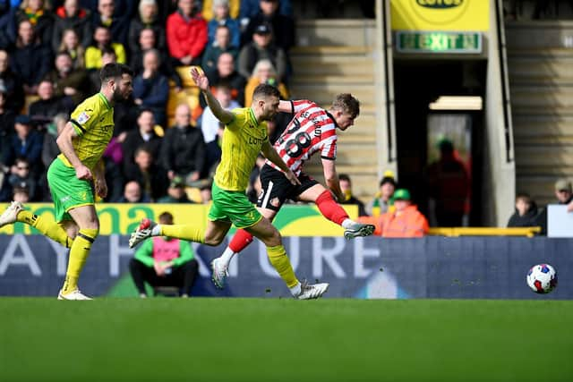 Sunderland forward Joe Gelhardt