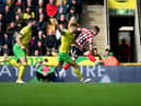 Sunderland forward Joe Gelhardt