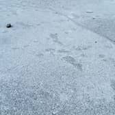 Footprints visible on the frozen lake in Paddy Freeman's Park in Newcastle.