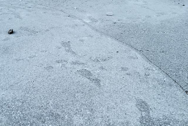 Footprints visible on the frozen lake in Paddy Freeman's Park in Newcastle.