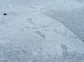 Footprints visible on the frozen lake in Paddy Freeman's Park in Newcastle.