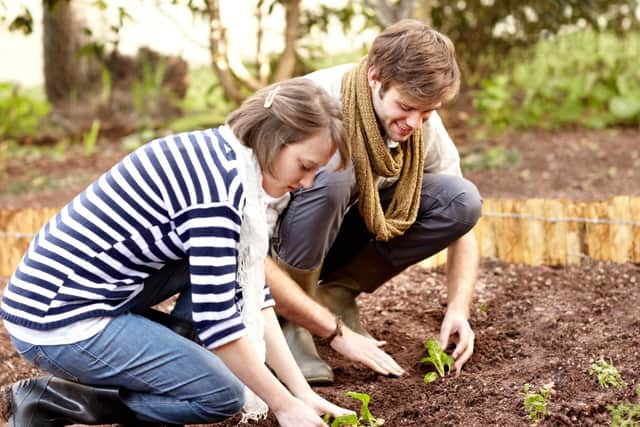 Gardeners are putting more emphasis on homegrown produce to save some money on their food shop bills (photo: Adobe)