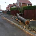 The country has seen a week of high winds and heavy rain thanks to Storms Dudley and Eunice - but more could be on the way with Franklin.