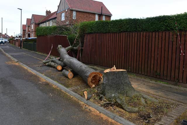 The country has seen a week of high winds and heavy rain thanks to Storms Dudley and Eunice - but more could be on the way with Franklin.