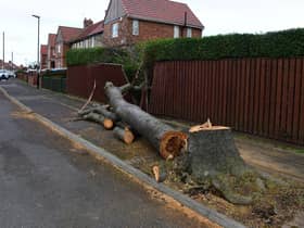 The country has seen a week of high winds and heavy rain thanks to Storms Dudley and Eunice - but more could be on the way with Franklin.