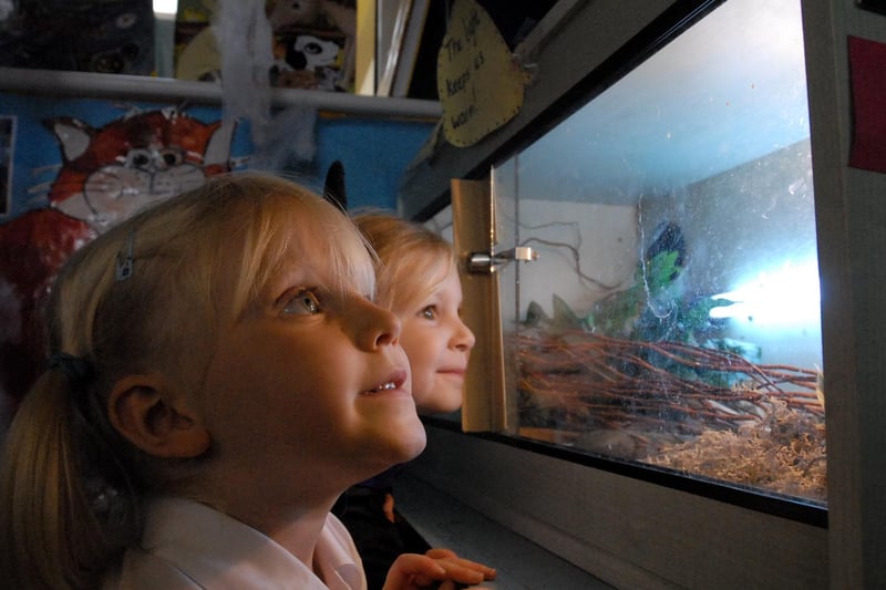 These pupils were spending time at the vivarium in reception class.
