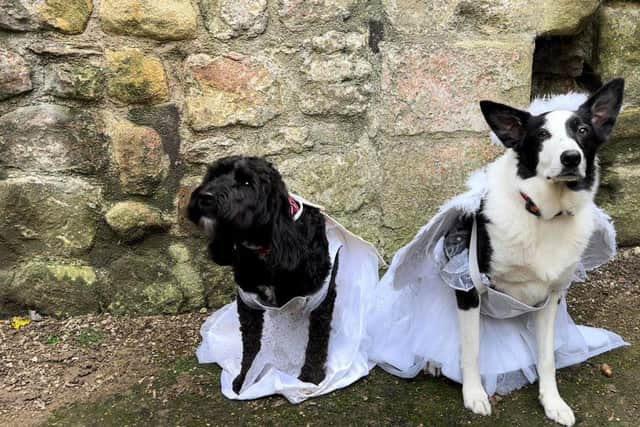 Missy and Coby as the Christmas angels