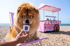 Aldi’s Langham’s Doggy Ice Cream will be available in the freezer aisle.