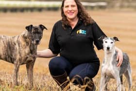 Jo Middleton, owner of Canine Principles - Animal News Agency