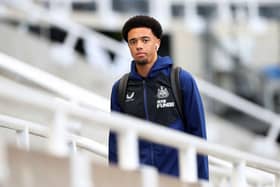 Newcastle United left-back Jamal Lewis hasn't started a Premier League game since February. (Photo by Ian MacNicol/Getty Images)
