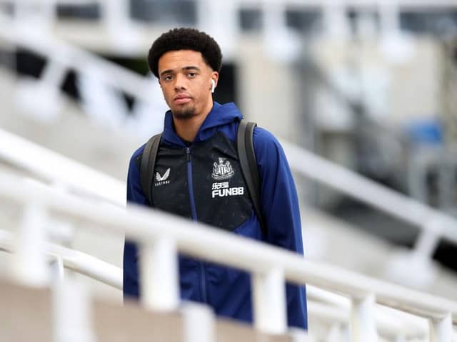 Newcastle United left-back Jamal Lewis hasn't started a Premier League game since February. (Photo by Ian MacNicol/Getty Images)