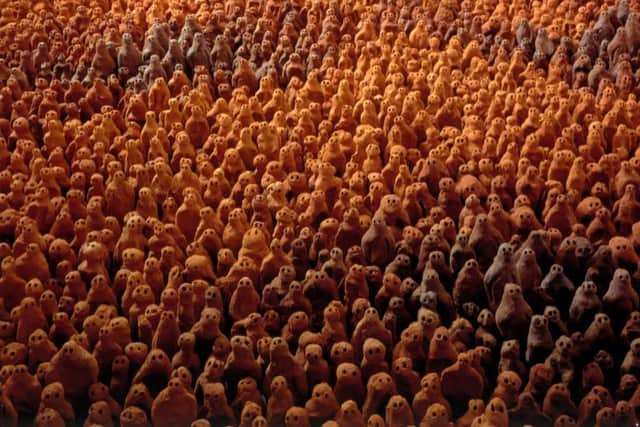 'Fields for the British Isles by Antony Gormley is coming to Sunderland.