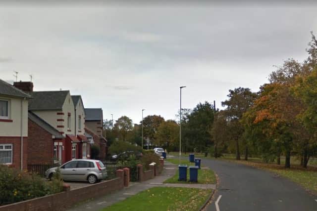 The incident happened on Dene Terrace area of Jarrow, with the man running off towards York Avenue. Image copyright Google Maps.