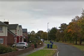 The incident happened on Dene Terrace area of Jarrow, with the man running off towards York Avenue. Image copyright Google Maps.