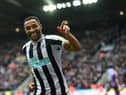 Callum Wilson celebrates scoring against Southampton for Newcastle United (photo: Getty).  