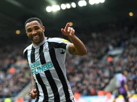 Callum Wilson celebrates scoring against Southampton for Newcastle United (photo: Getty).  