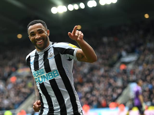 Callum Wilson celebrates scoring against Southampton for Newcastle United (photo: Getty).  