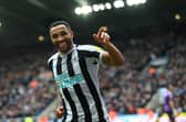 Callum Wilson celebrates for Newcastle United (photo: Getty). 
