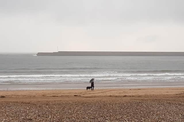 Even when the weather is rotten, the dog still needs to be walked