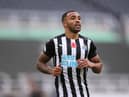 NEWCASTLE UPON TYNE, ENGLAND - NOVEMBER 01: Callum Wilson of Newcastle United looks on during the Premier League match between Newcastle United and Everton at St. James Park on November 01, 2020 in Newcastle upon Tyne, England.