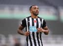 NEWCASTLE UPON TYNE, ENGLAND - NOVEMBER 01: Callum Wilson of Newcastle United looks on during the Premier League match between Newcastle United and Everton at St. James Park on November 01, 2020 in Newcastle upon Tyne, England.