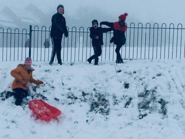 Sledging fun. From Sara Gledhill.