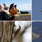 The annual bird race returns to Souter Lighthouse and The Leas on January 9.