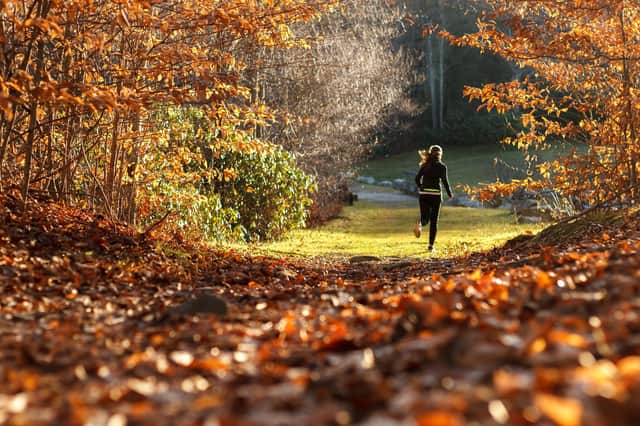 “Invest just a little bit of time and money on warmer exercise clothing or reflective equipment.”