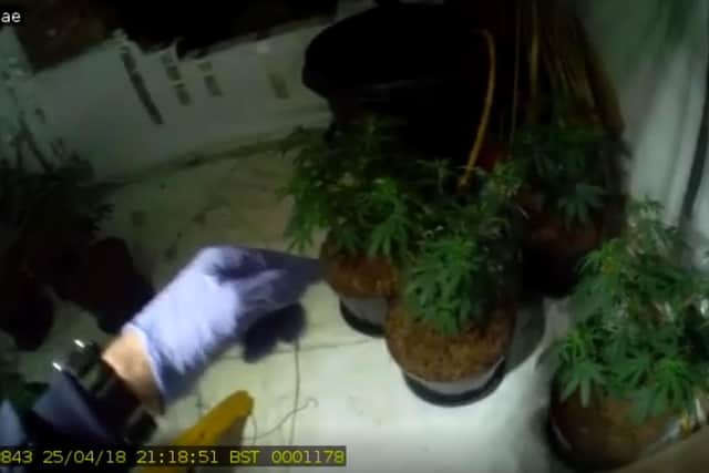 A still from the video released by Northumbria Police following the sentencing hearing of the gang, showing inside the cannabis farm in College Road.