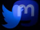 Logos of Twitter and Mastodon. (Pic credit: Joel Saget / AFP via Getty Images)