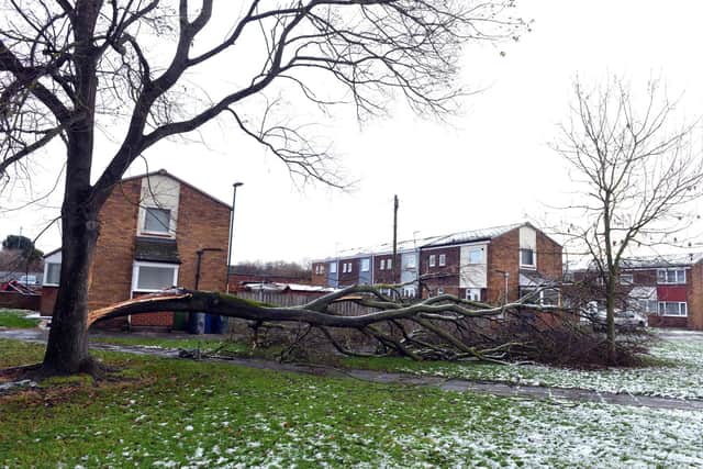 Storm Arwen aftermath at Heaton Gardens, Benton Road, Whiteleas.