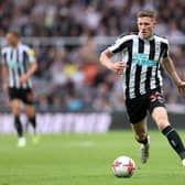 Newcastle United midfielder Elliot Anderson.  