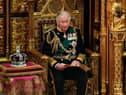 2023 Coronation: Everything you need to know if you want to host a street party in the North East. (Photo by Alastair Grant - WPA Pool/Getty Images)
