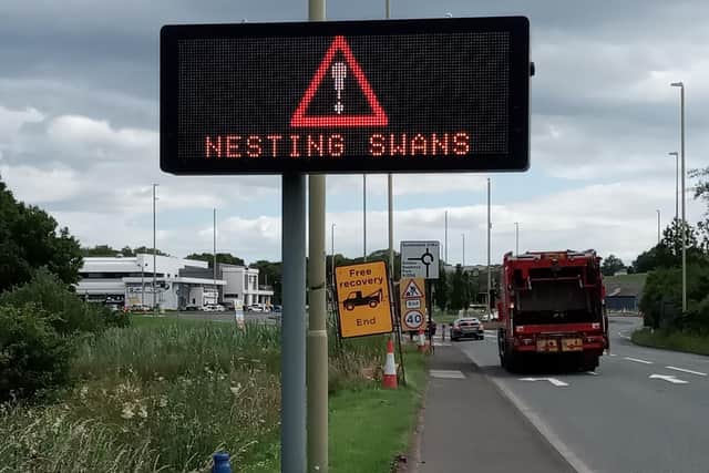 Traffic signs warn drivers of the birds' presence. Pic: Hilary Rawlins
